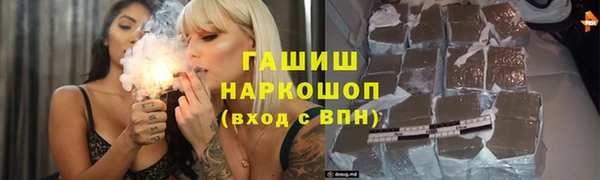 индика Корсаков