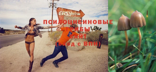 mdma Краснослободск