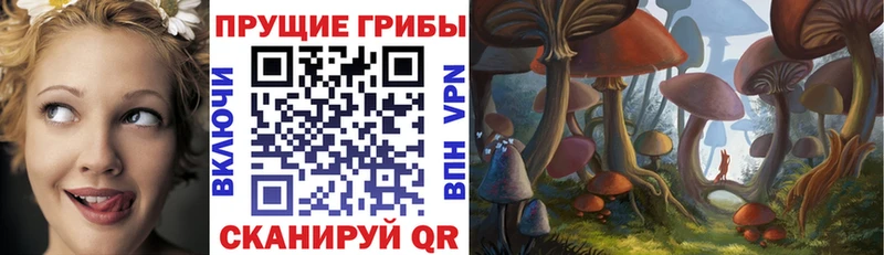 наркота  Обнинск  Псилоцибиновые грибы мухоморы 
